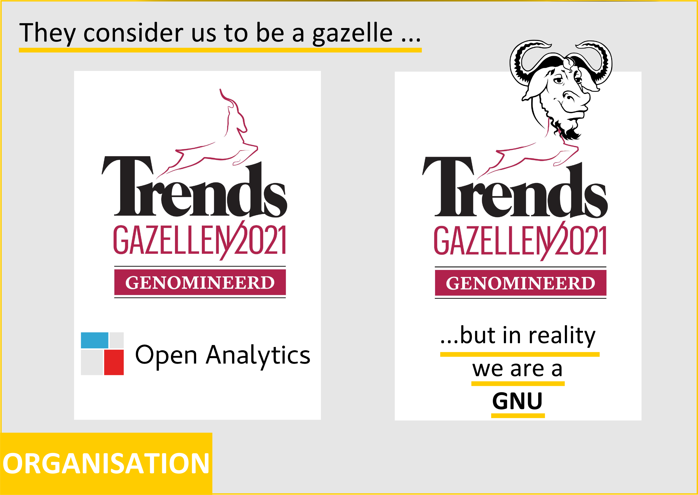 trends gazelle nomination