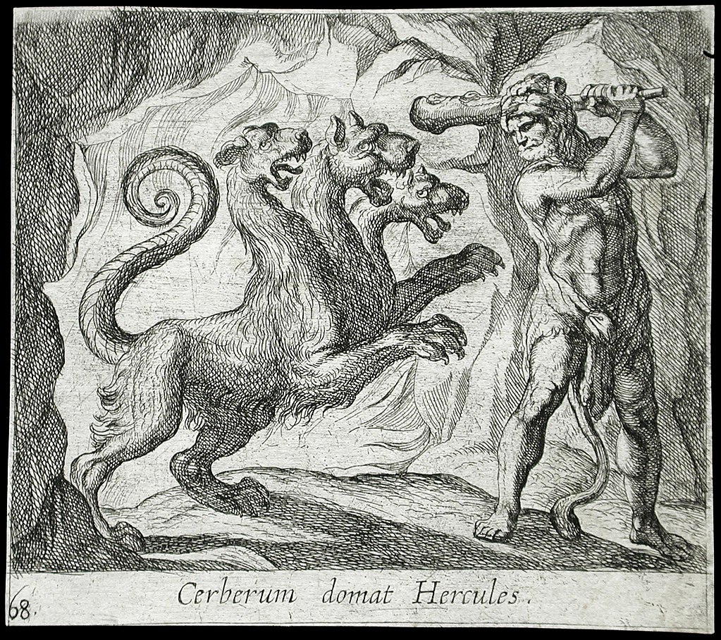 Cerberum domat Hercules