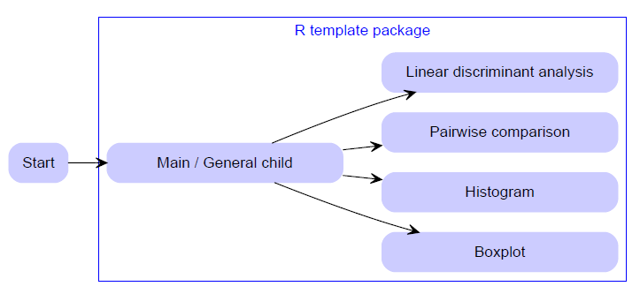 R template package